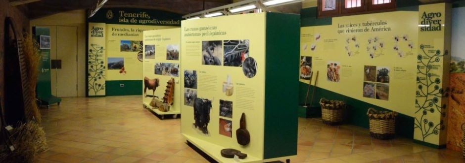 museo del vino canarias