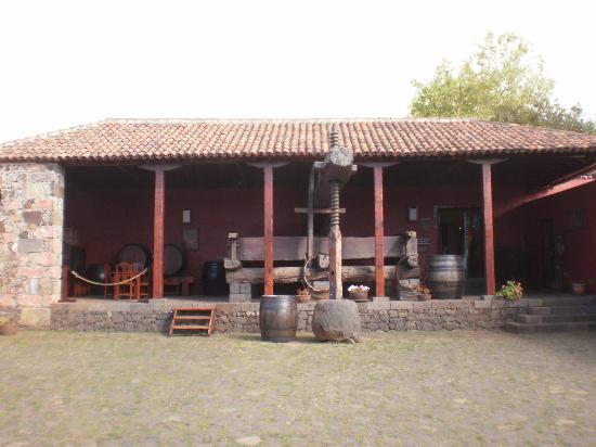 museo creacion del vino
