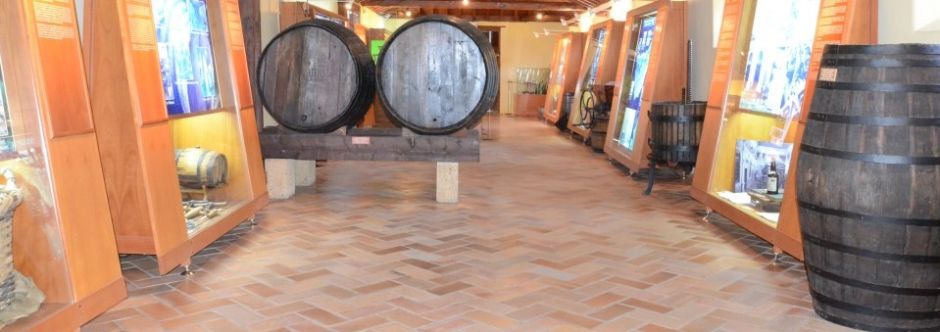 casa del vino tenerife norte