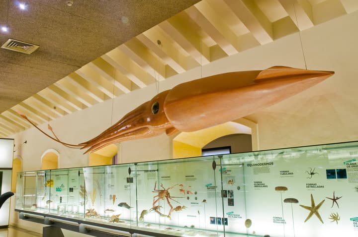 museo de la naturaleza